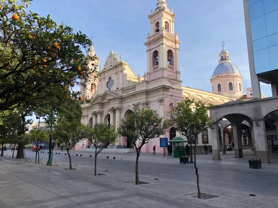 CATHEDRAL OF SALTA